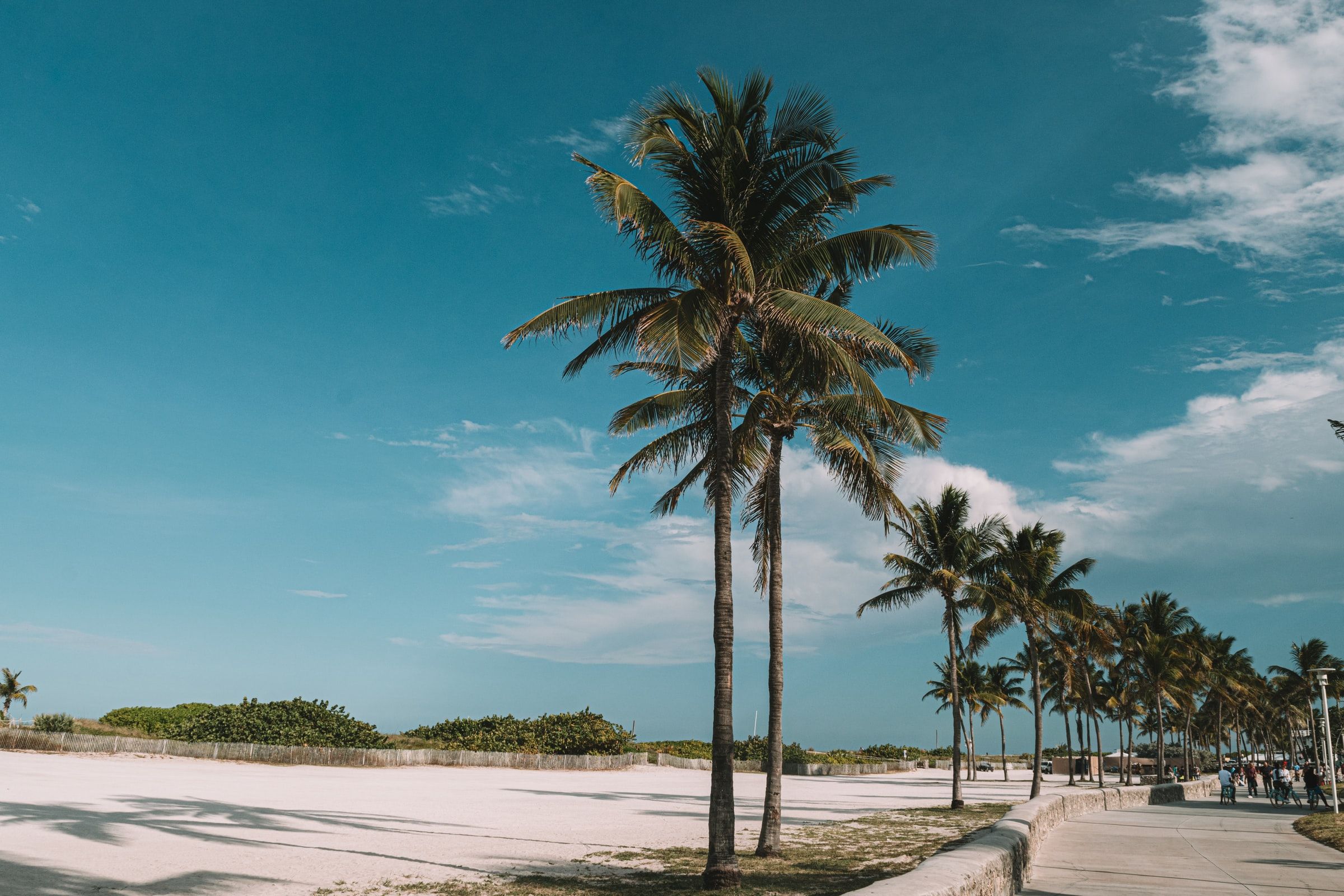 An Extended Journey from Miami's Shores to Caribbean Serenades